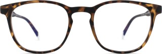 Barner Screen Dalston Tortoise 24998